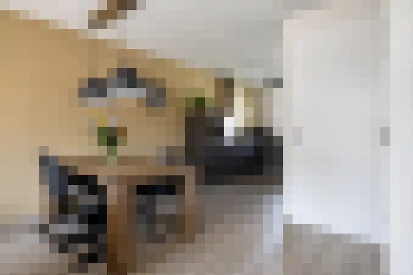 Nieuwevaert 40 Kaatsheuvel thumbnail 9