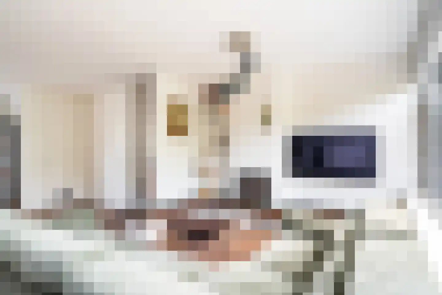 Nieuwewater 45 Zoetermeer thumbnail 13