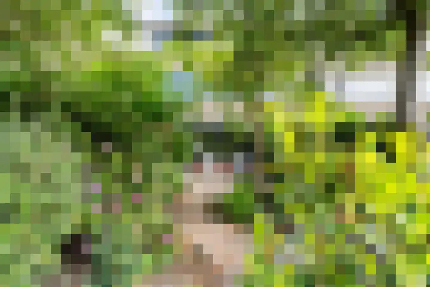 Nieuwewater 45 Zoetermeer thumbnail 22