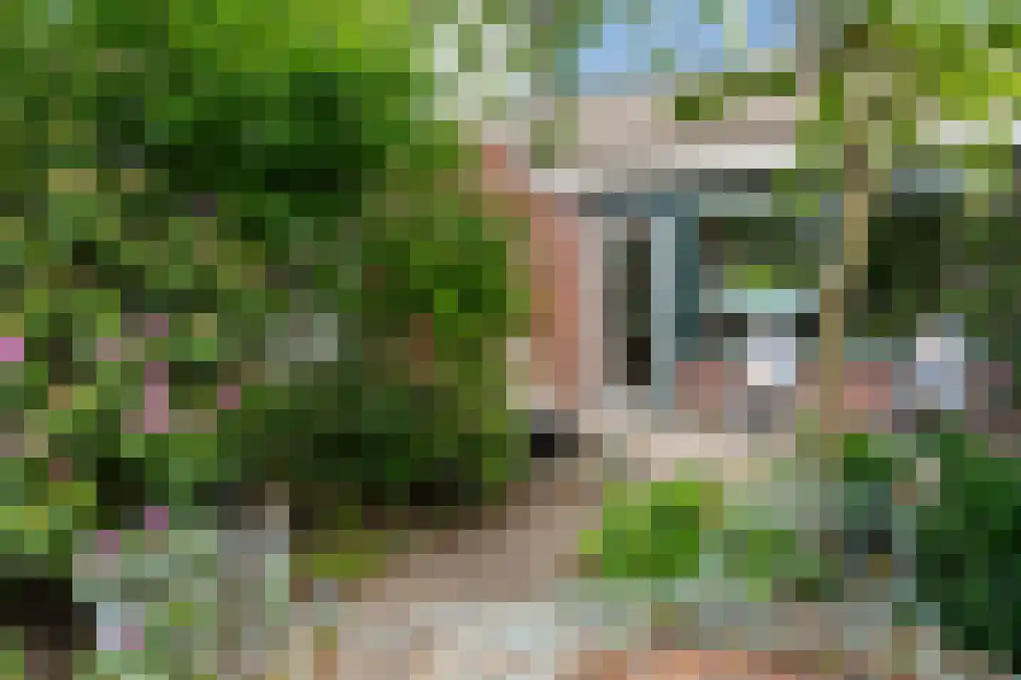 Nieuwewater 45 Zoetermeer thumbnail 24