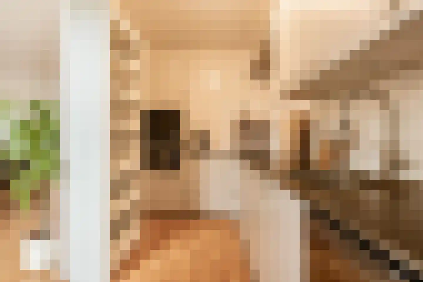Nieuwewater 69 Zoetermeer thumbnail 13