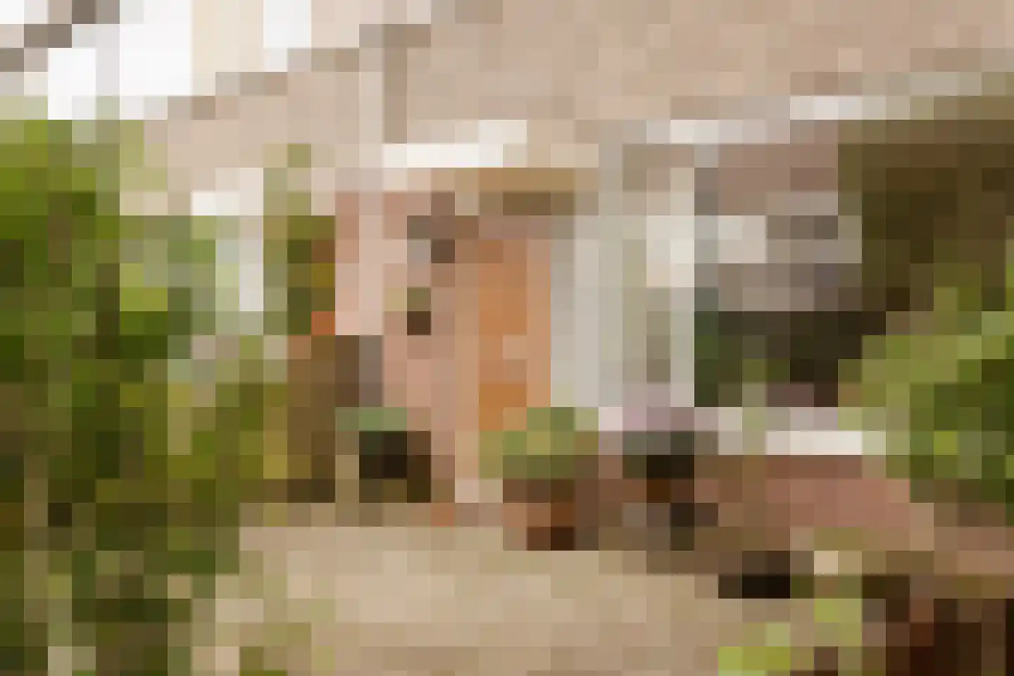 Nieuwewater 69 Zoetermeer thumbnail 38