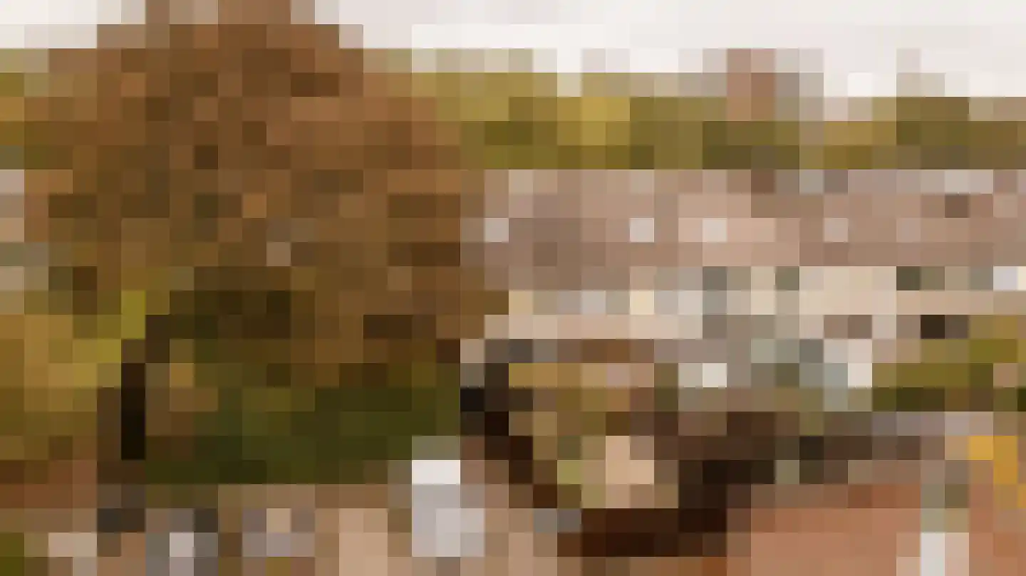 Nieuwewater 69 Zoetermeer thumbnail 39