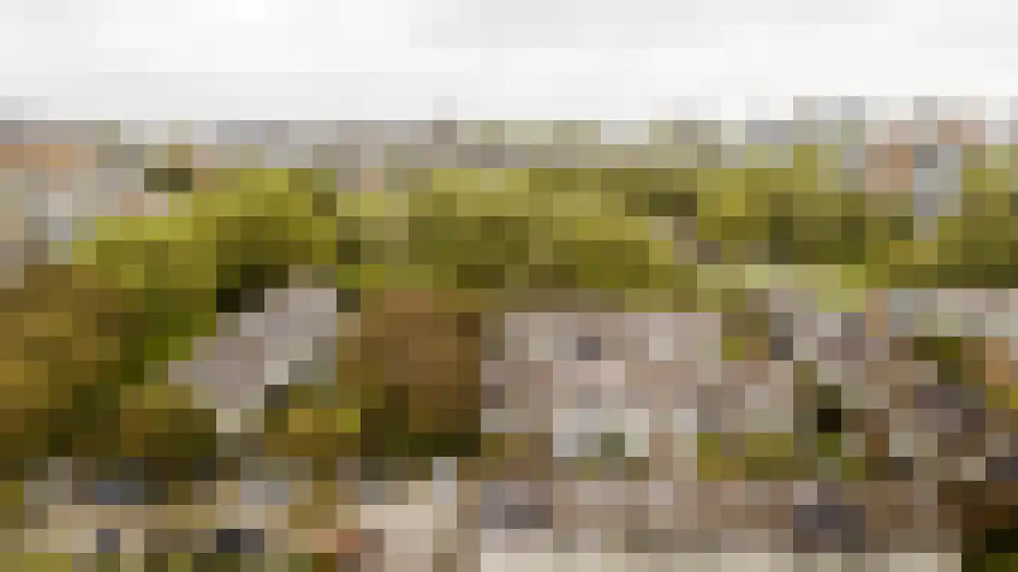 Nieuwewater 69 Zoetermeer thumbnail 40