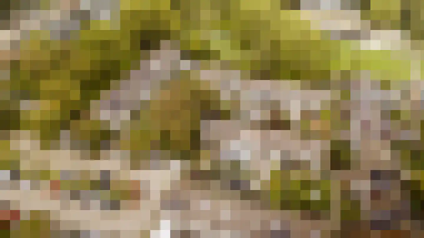Nieuwewater 69 Zoetermeer thumbnail 41