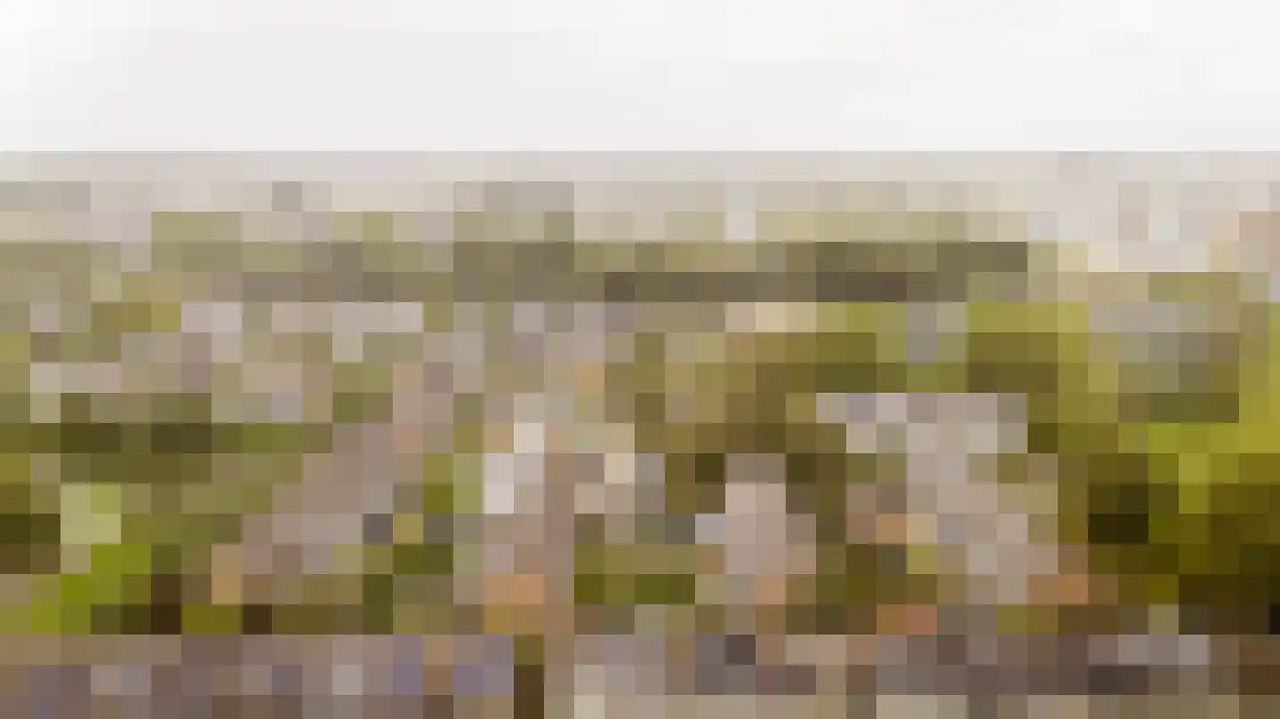 Nieuwewater 69 Zoetermeer thumbnail 43