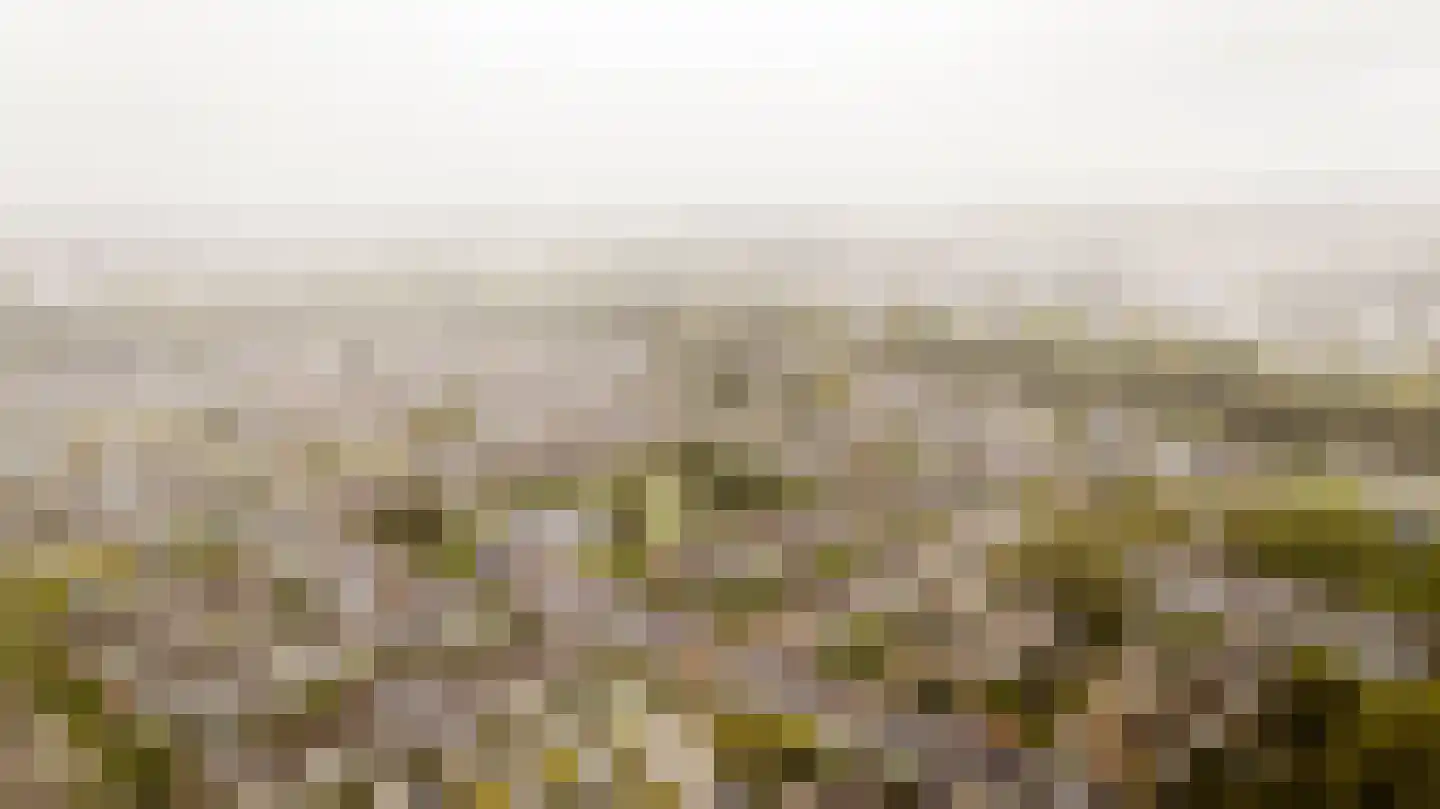 Nieuwewater 69 Zoetermeer thumbnail 44