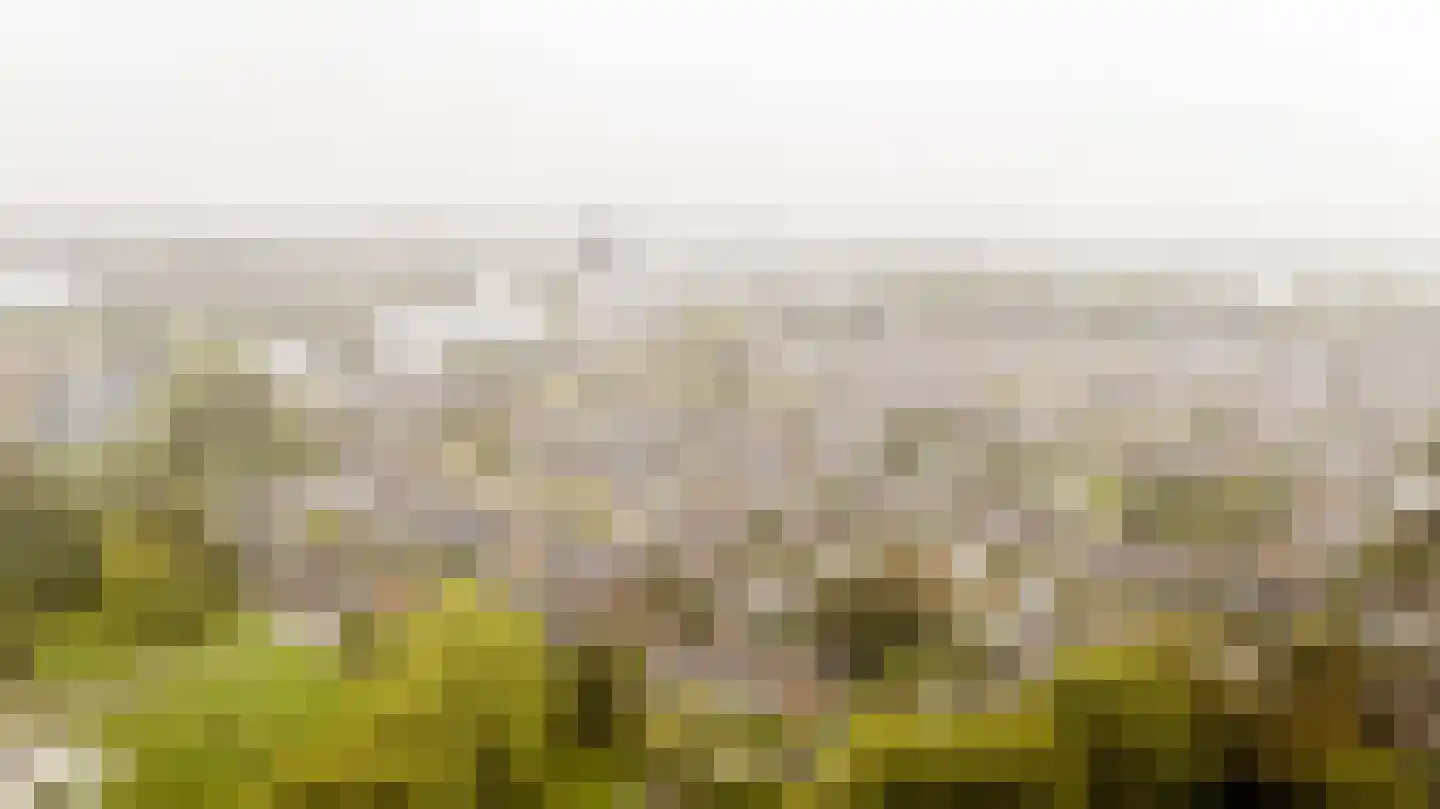 Nieuwewater 69 Zoetermeer thumbnail 45