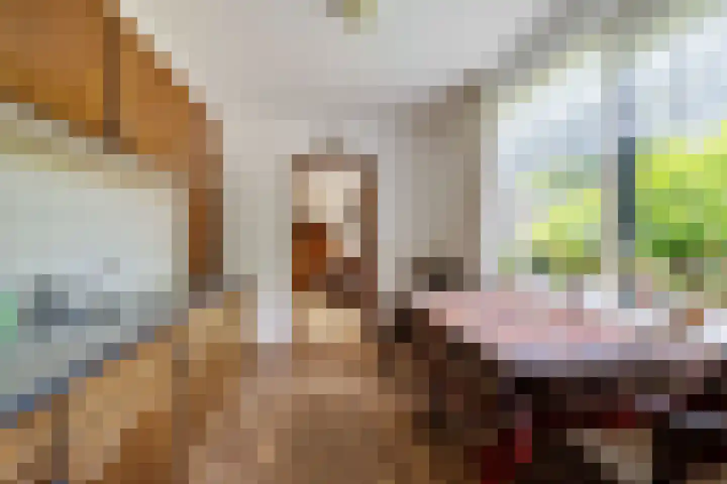 Nieuweweg 1 A Koudum thumbnail 11