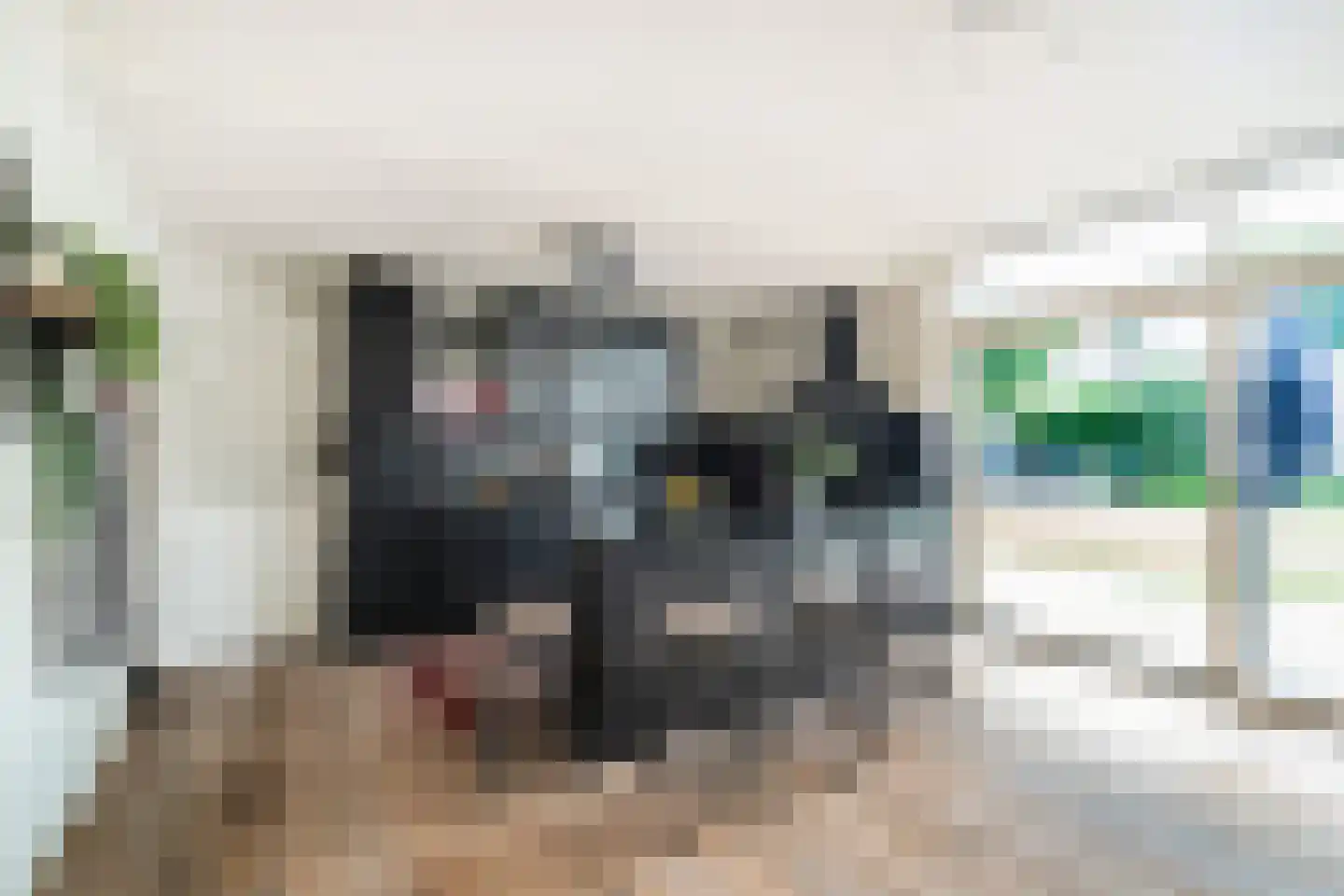 Nieuweweg 1 Anna Paulowna thumbnail 14