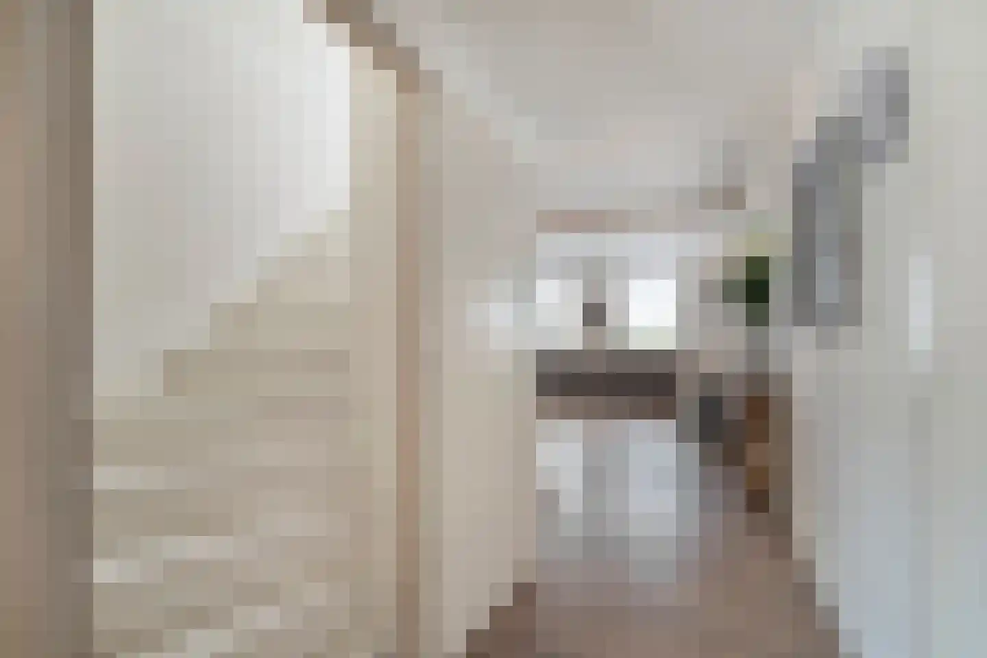 Nieuweweg 1 Anna Paulowna thumbnail 21