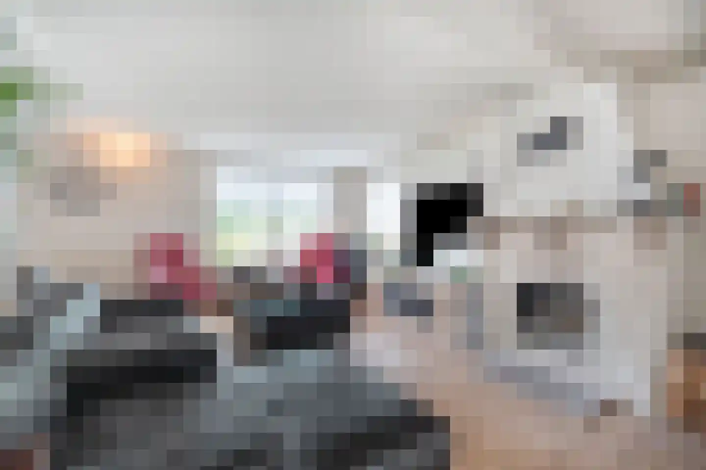 Nieuweweg 1 Anna Paulowna thumbnail 5