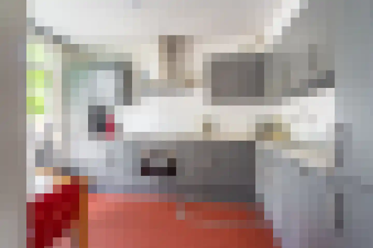 Nieuweweg 1 Oostwold thumbnail 13