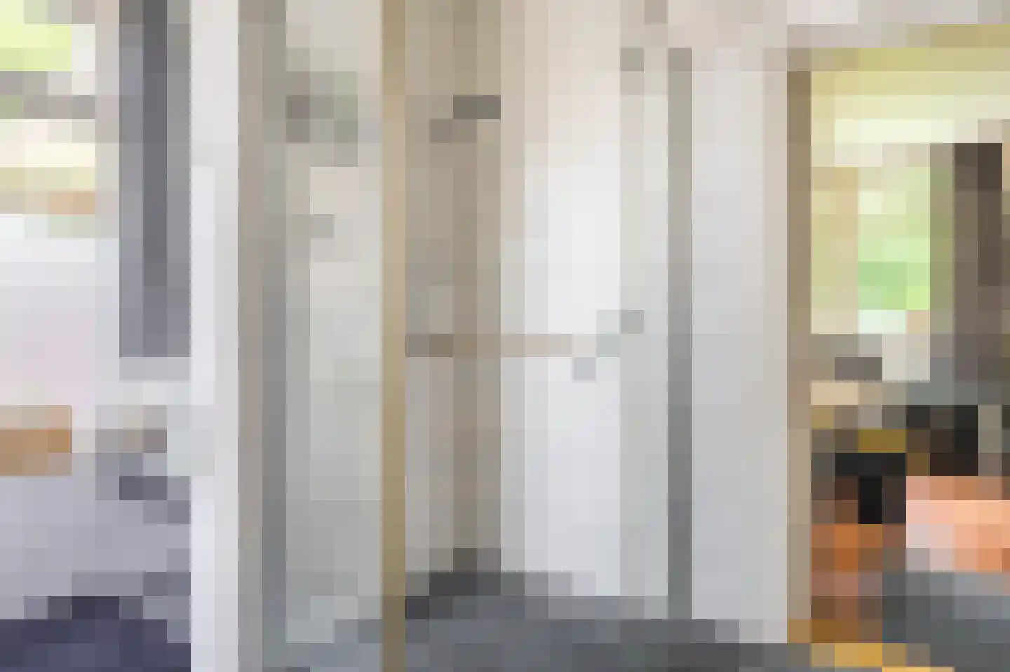 Nieuweweg 1 Oostwold thumbnail 30