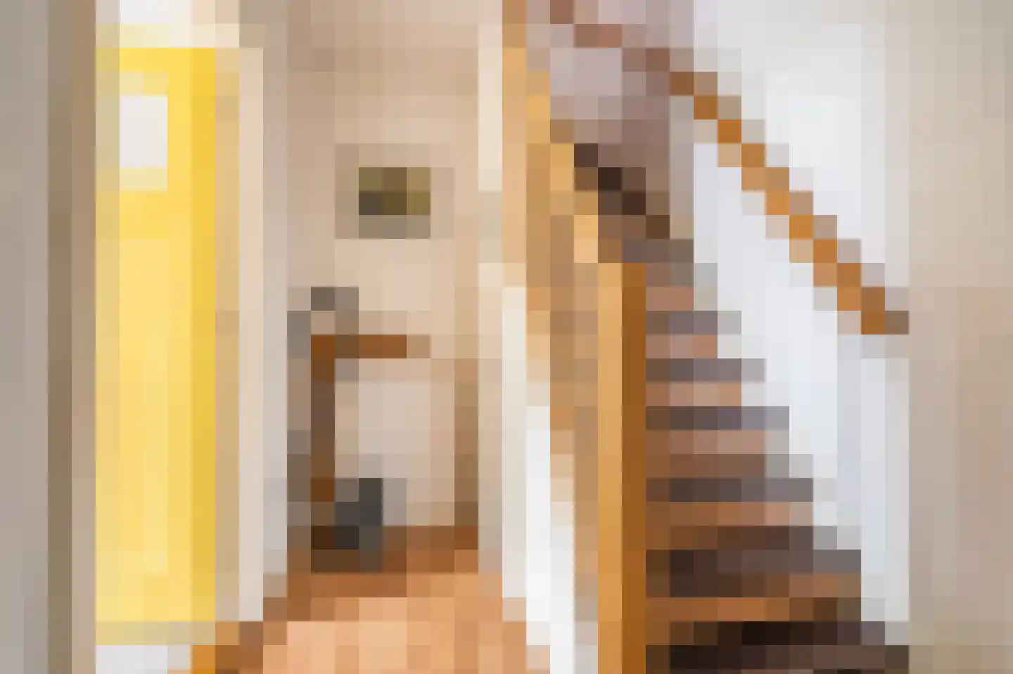 Nieuweweg 1 Oostwold thumbnail 32