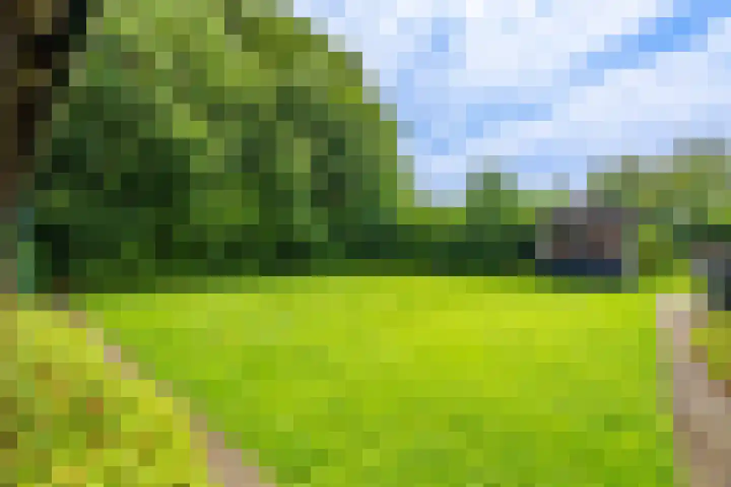 Nieuweweg 1 Oostwold thumbnail 49