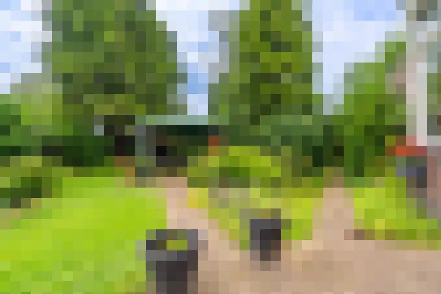 Nieuweweg 1 Oostwold thumbnail 51