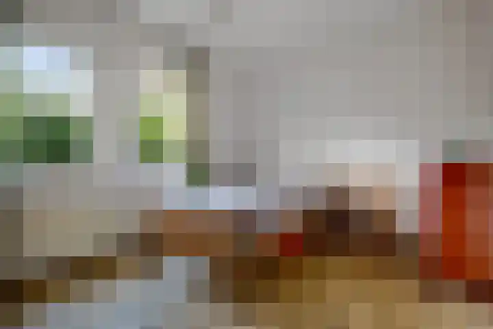 Nieuweweg 1 Zuidbroek thumbnail 13