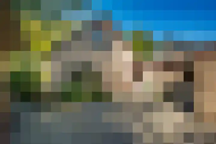 Nieuweweg 1 Zuidbroek thumbnail 32