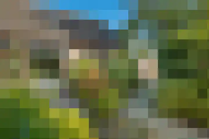 Nieuweweg 1 Zuidbroek thumbnail 36