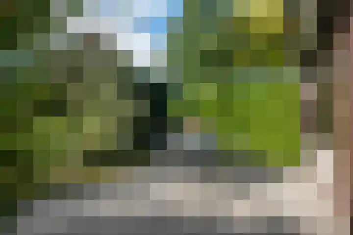 Nieuweweg 1 Zuidbroek thumbnail 38