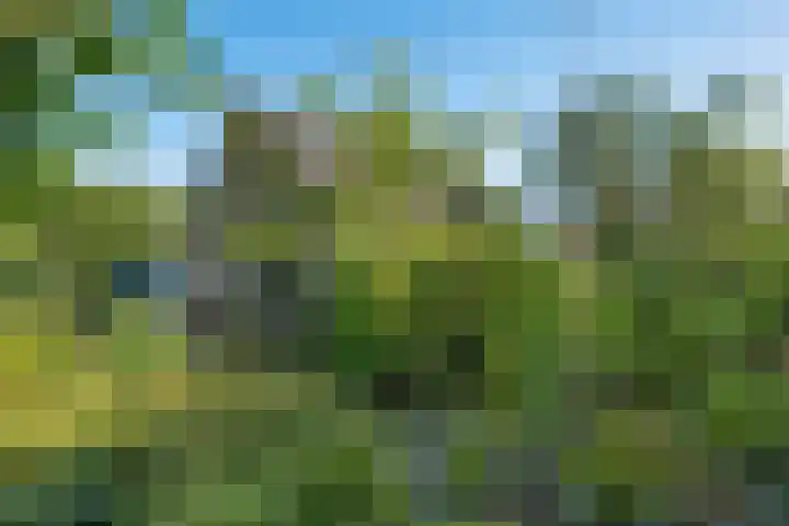 Nieuweweg 1 Zuidbroek thumbnail 39