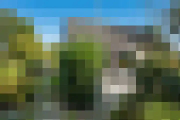 Nieuweweg 1 Zuidbroek thumbnail 40