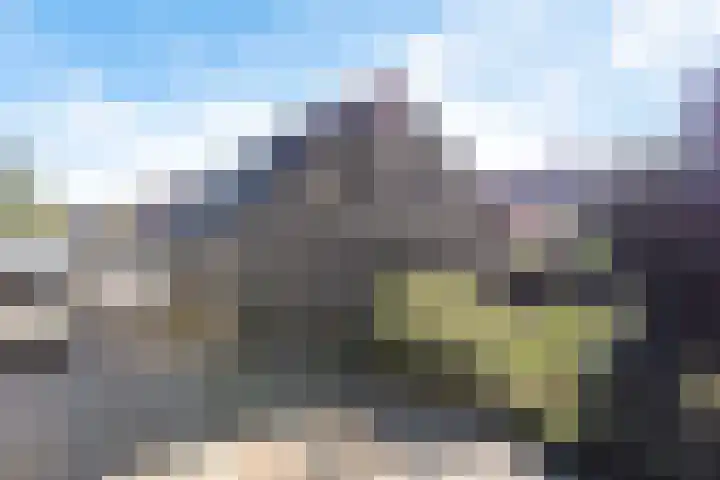 Nieuweweg 1 Zuidbroek thumbnail 43