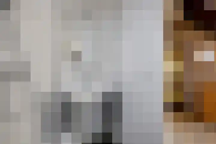 Nieuweweg 1 Zuidbroek thumbnail 8