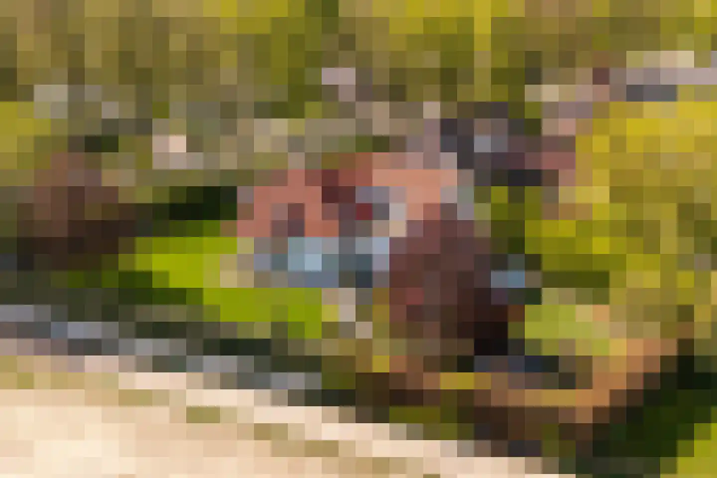 Nieuweweg 10 Groesbeek thumbnail 4