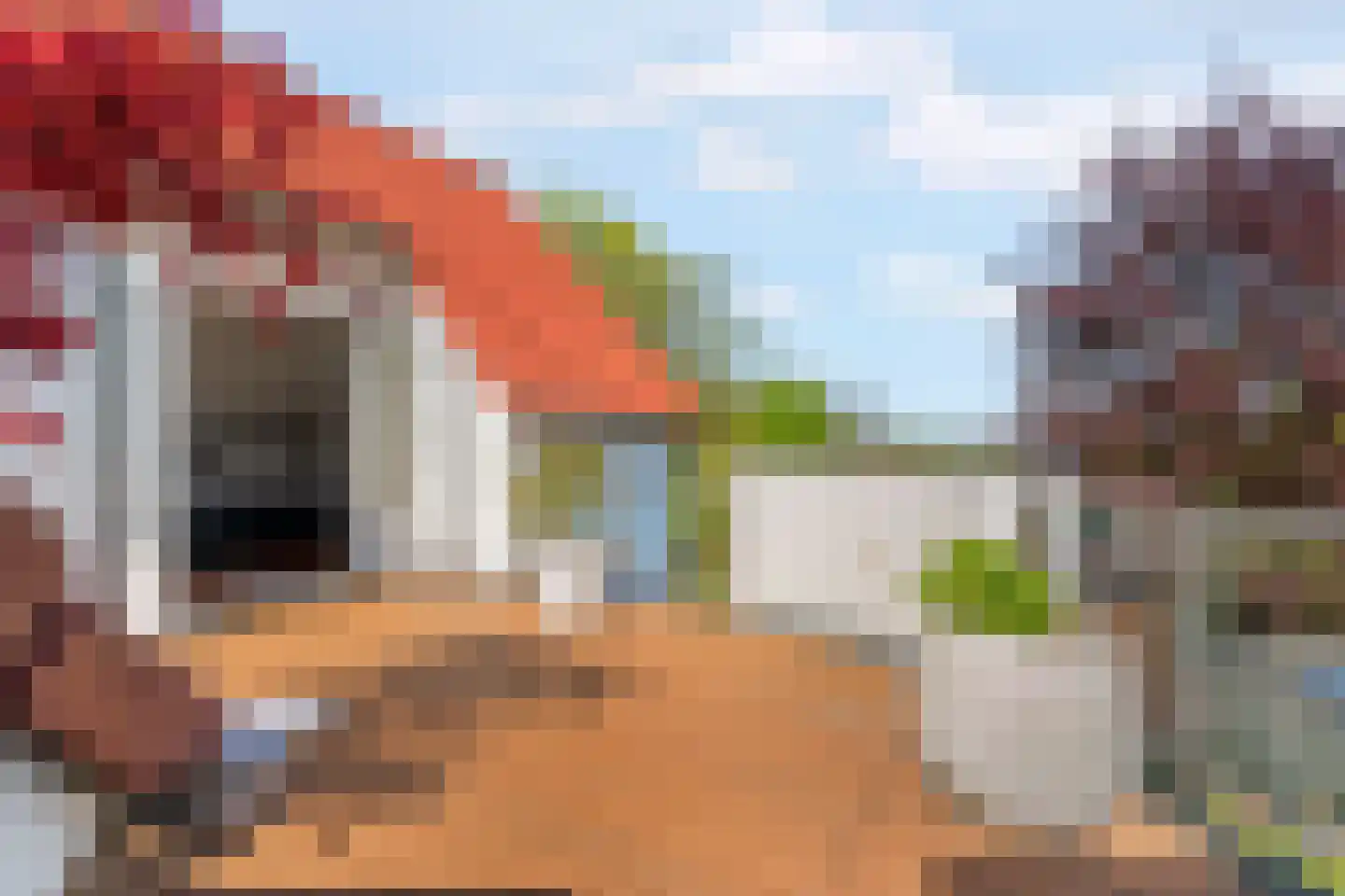 Nieuweweg 10 Groesbeek thumbnail 58