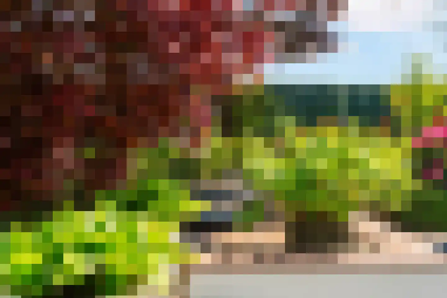 Nieuweweg 10 Groesbeek thumbnail 64