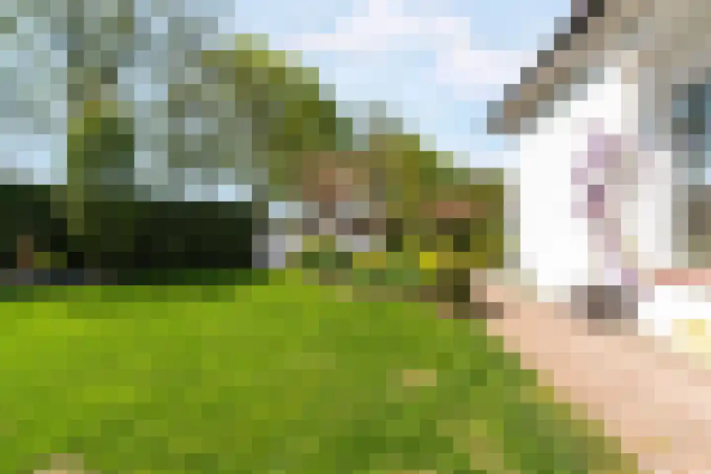 Nieuweweg 10 Groesbeek thumbnail 68