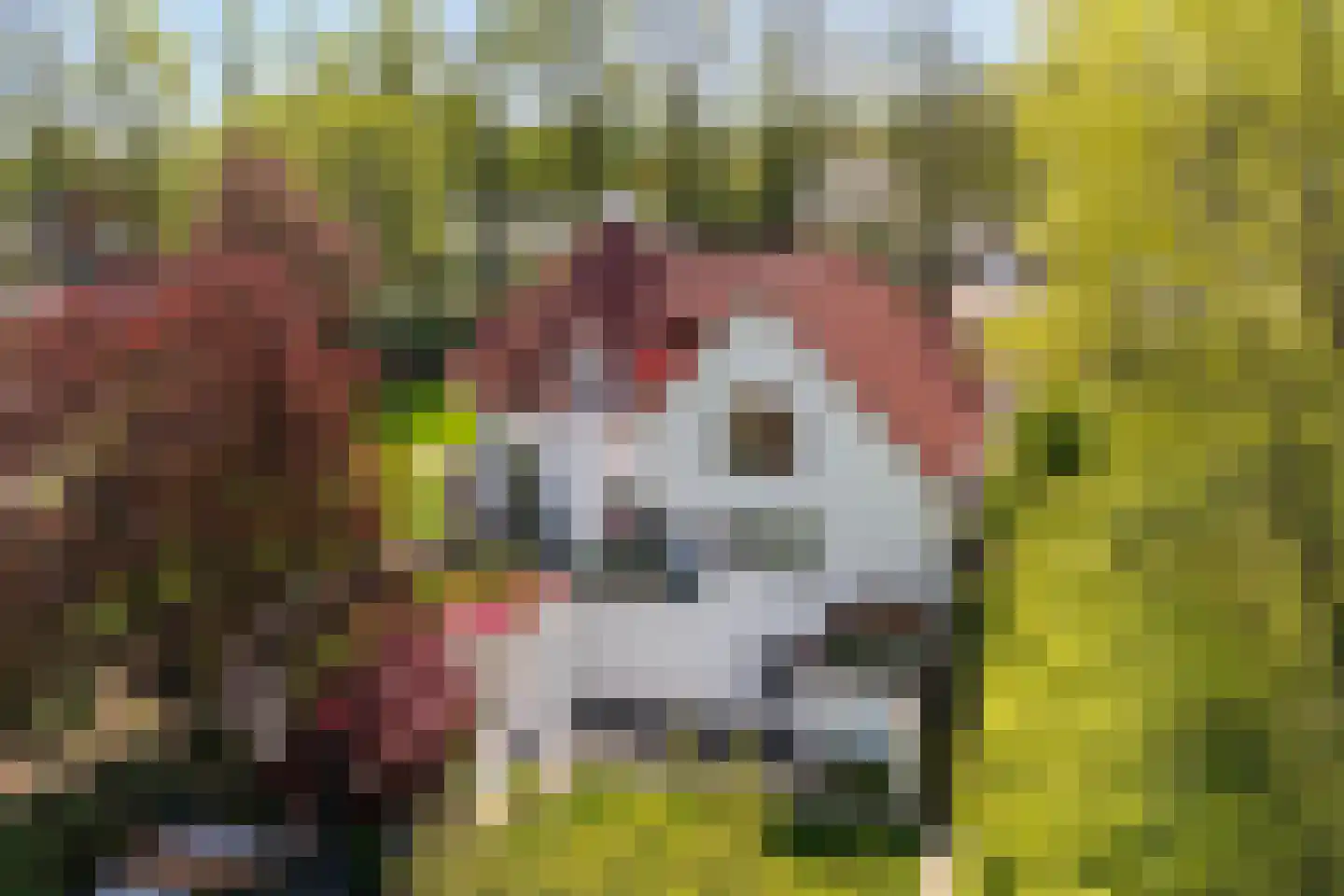 Nieuweweg 10 Groesbeek thumbnail 80