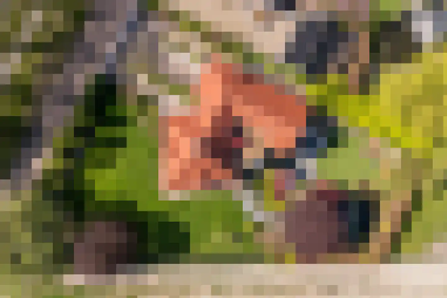 Nieuweweg 10 Groesbeek thumbnail 82