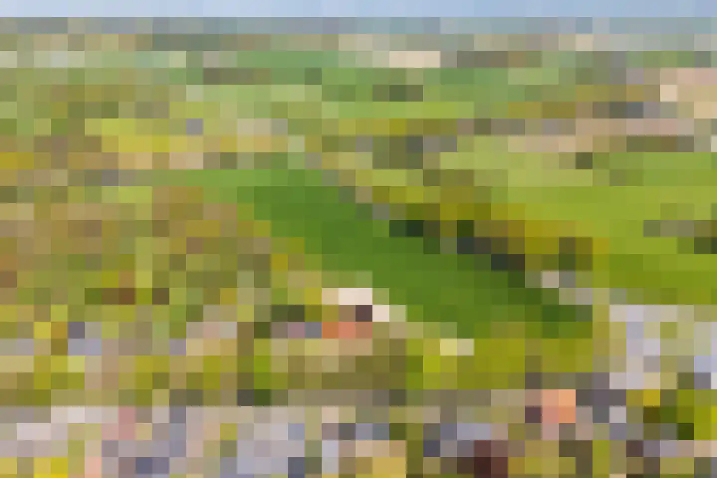 Nieuweweg 10 Groesbeek thumbnail 84