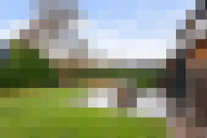 Nieuweweg 10 Numansdorp thumbnail 42