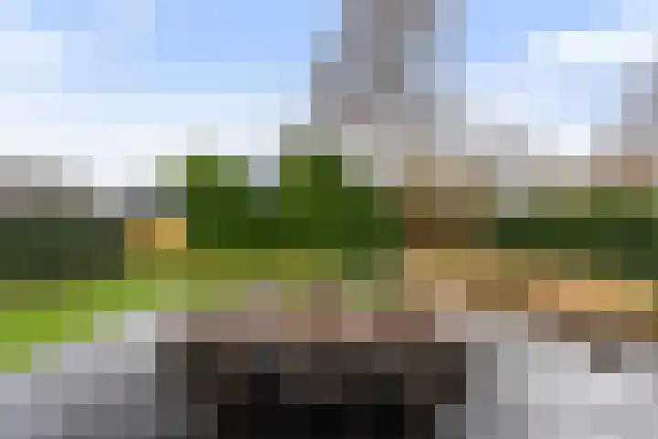Nieuweweg 10 Numansdorp thumbnail 43