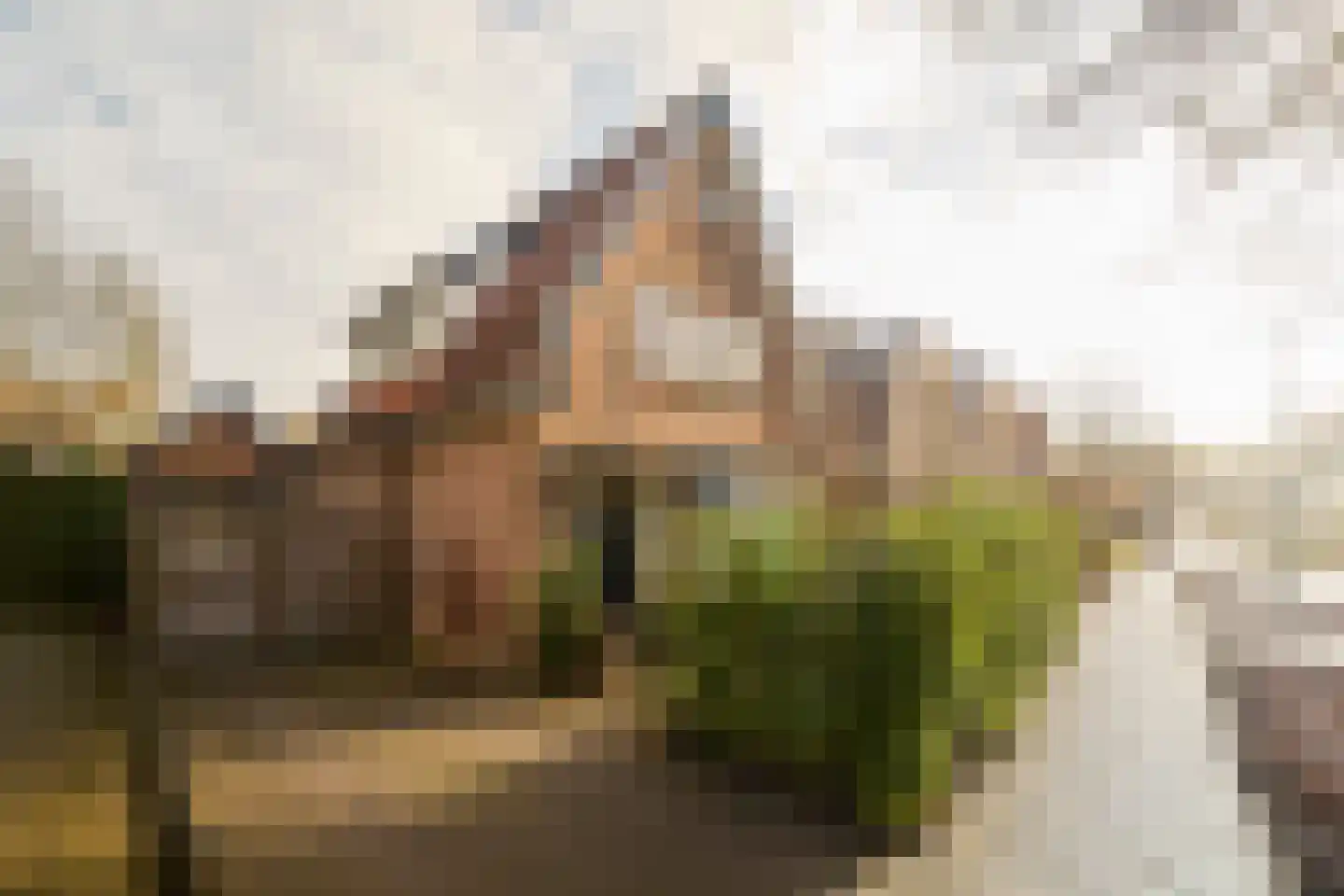 Nieuweweg 101 Soest