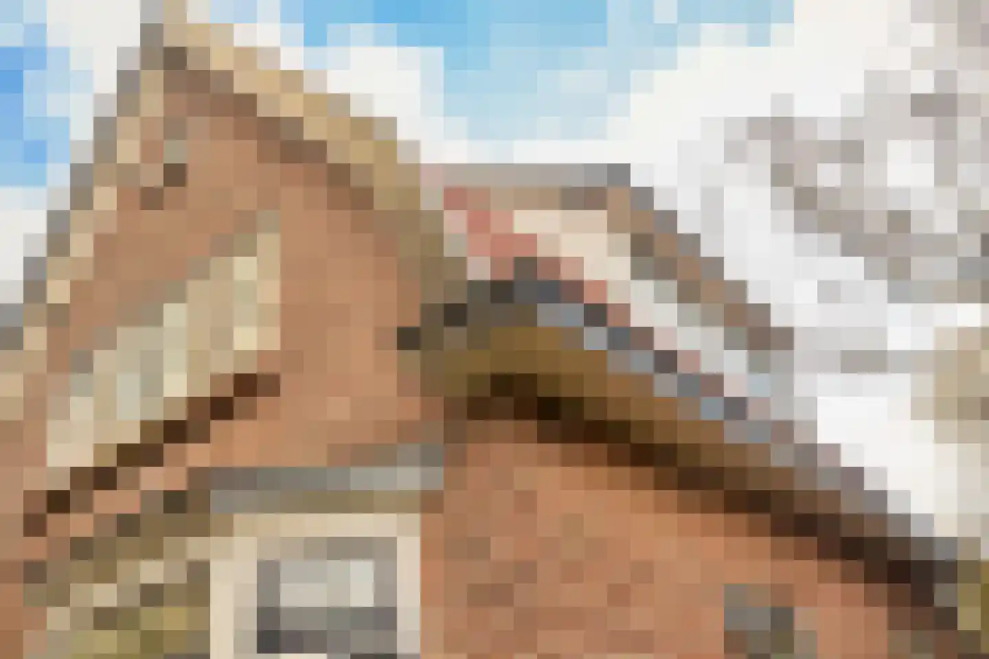 Nieuweweg 101 Soest thumbnail 43