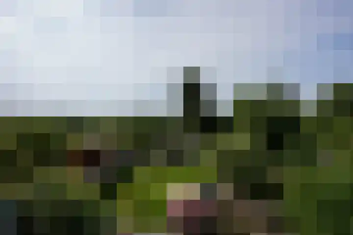 Nieuweweg 102 A Valkenburg thumbnail 7
