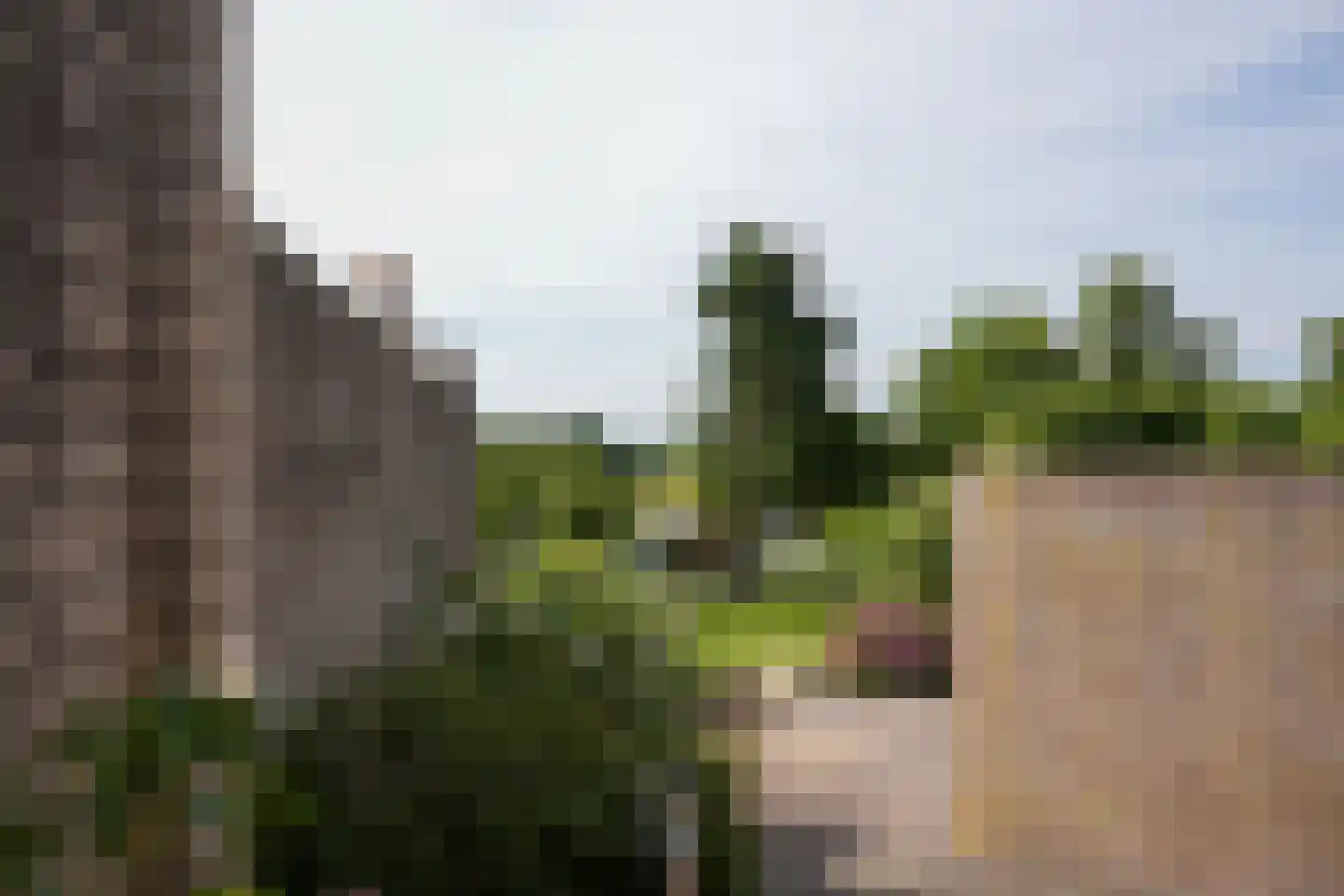 Nieuweweg 102 Valkenburg thumbnail 34