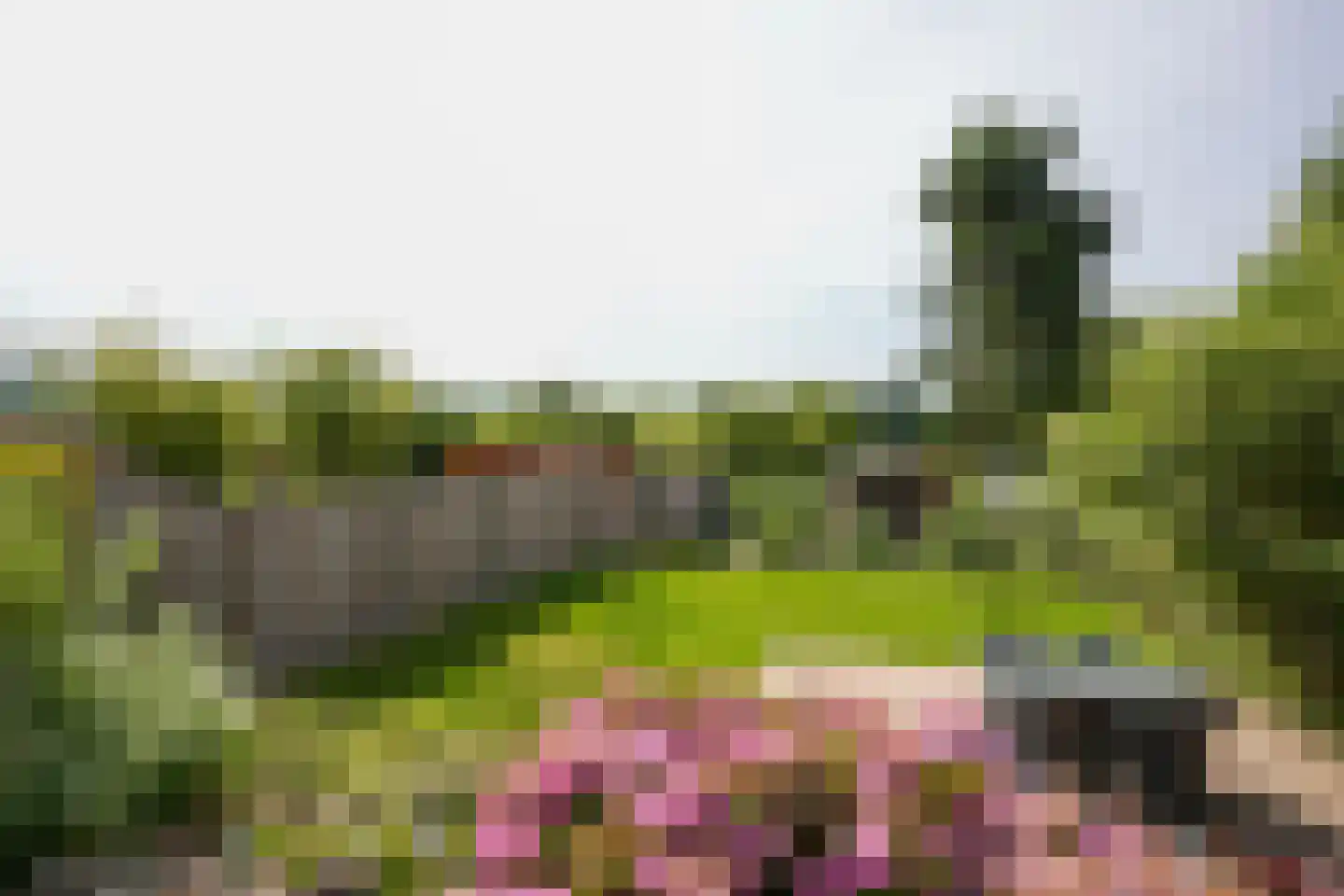Nieuweweg 102 Valkenburg thumbnail 35