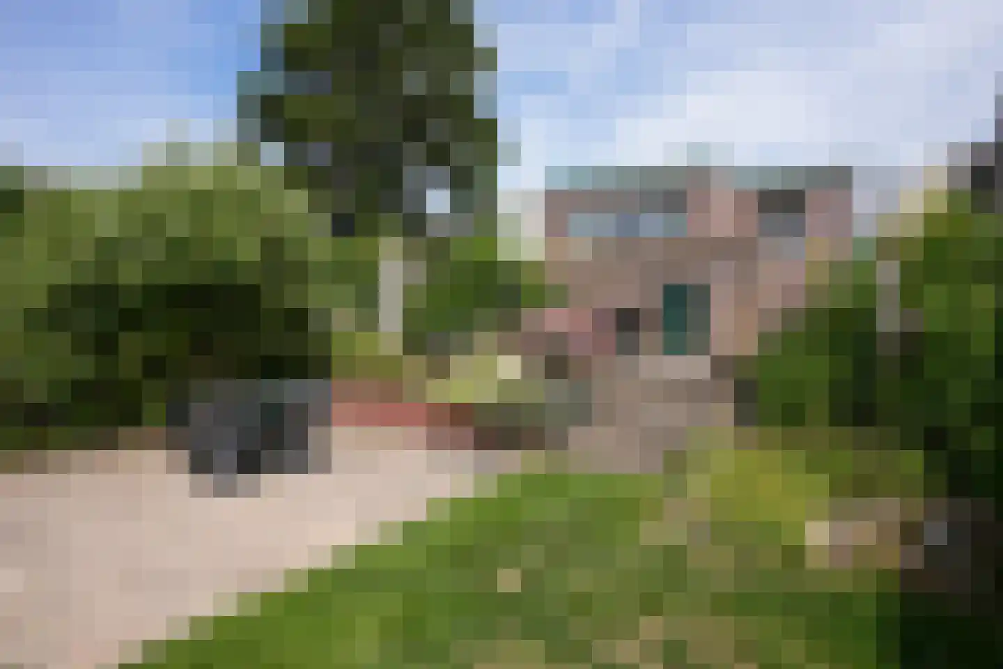 Nieuweweg 102 Valkenburg thumbnail 40