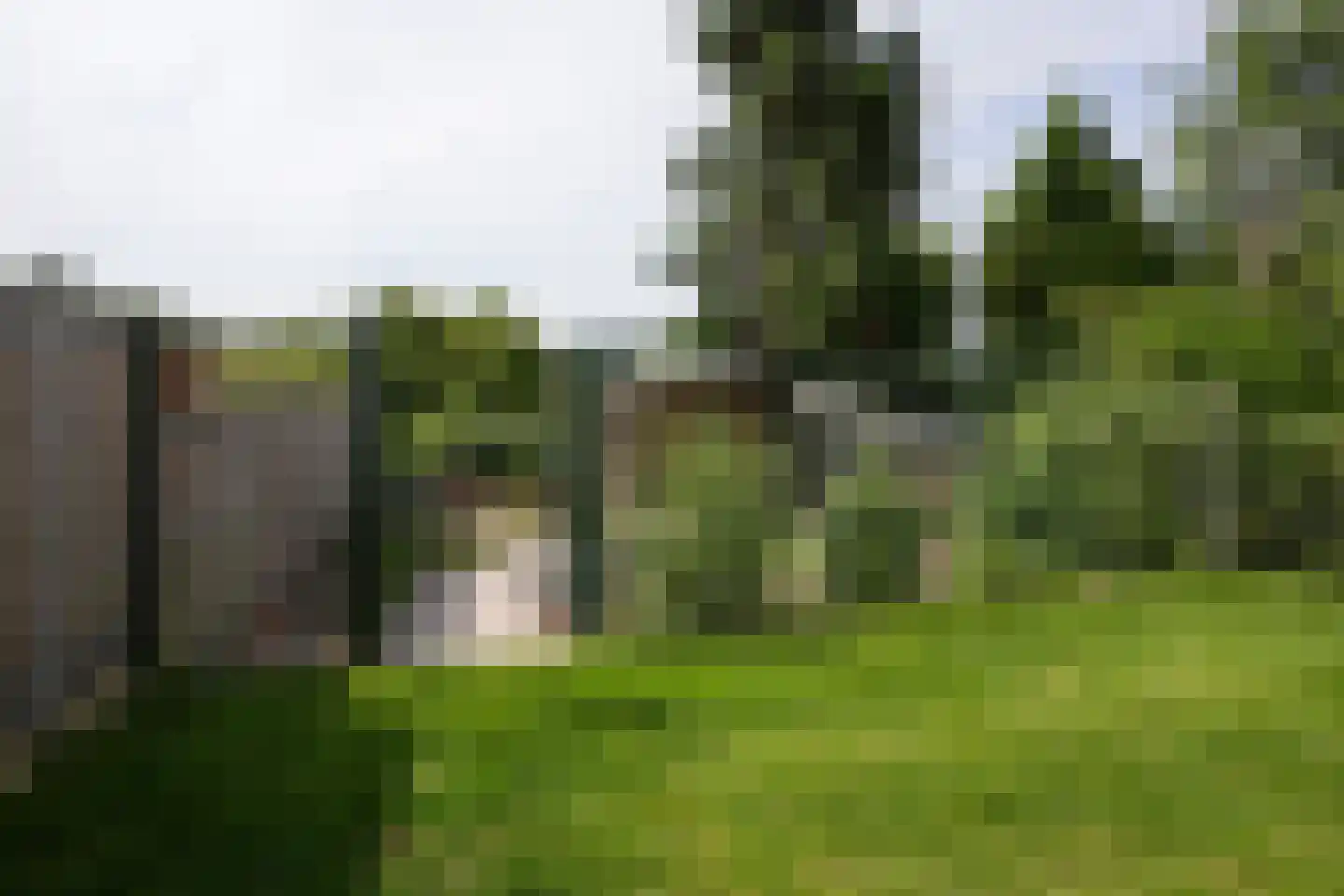 Nieuweweg 102 Valkenburg thumbnail 41