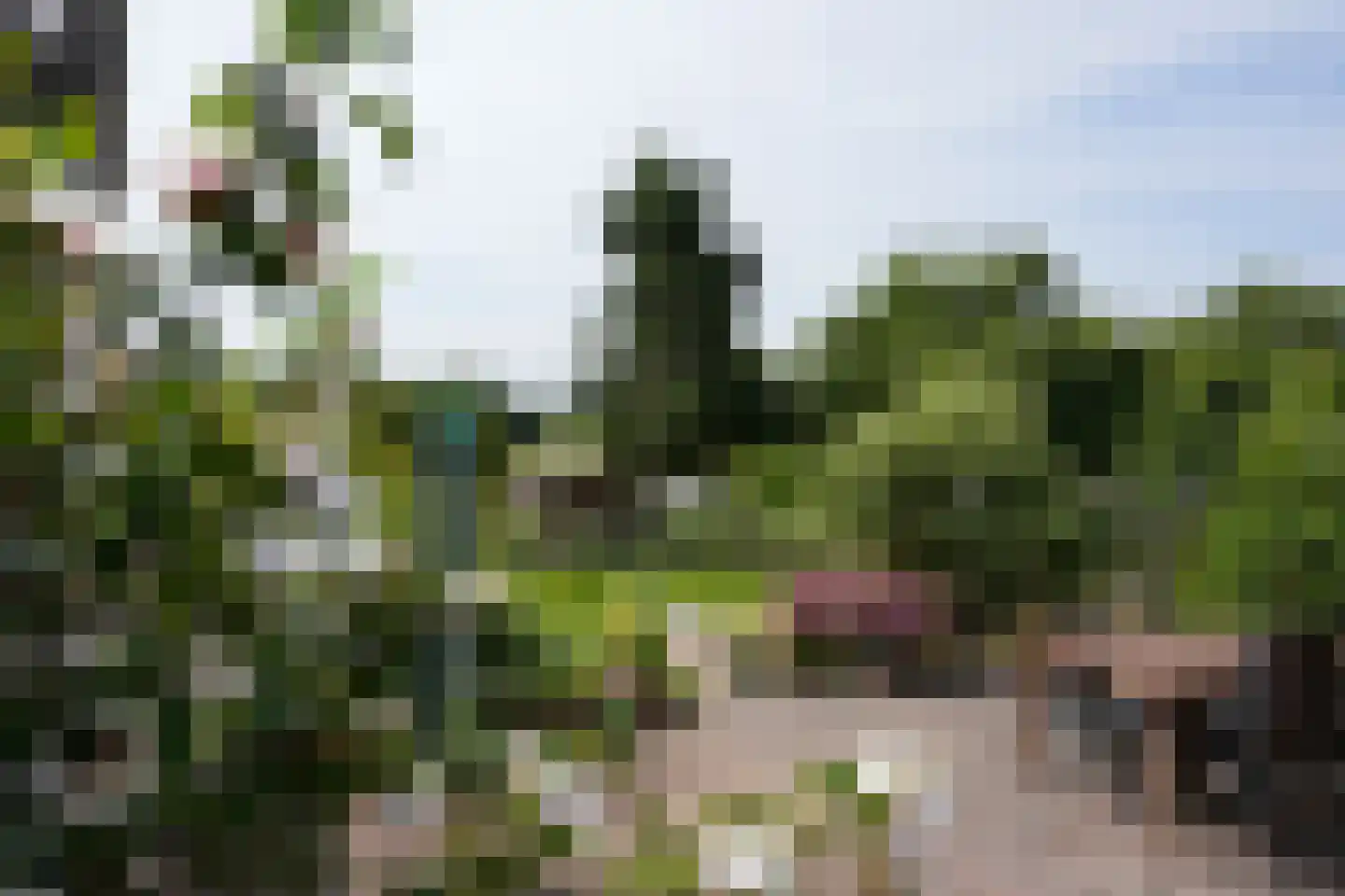 Nieuweweg 102 Valkenburg thumbnail 45