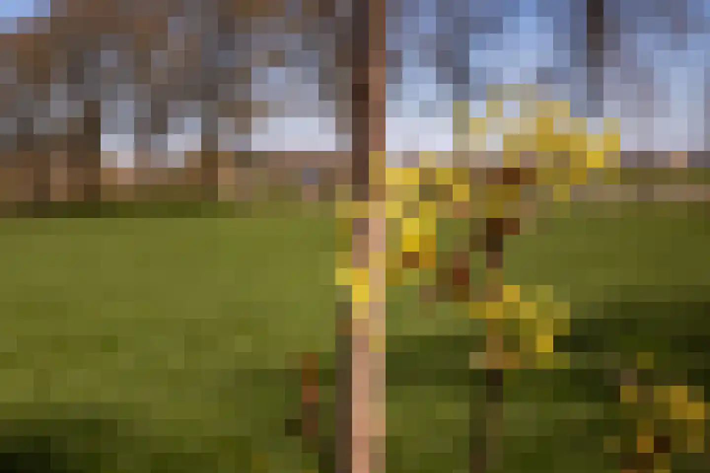 Nieuweweg 11 Groesbeek thumbnail 30