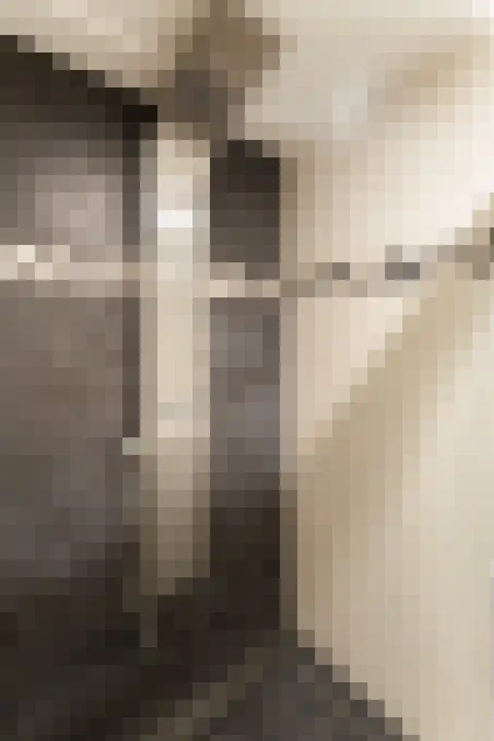 Nieuweweg 111 Tiel thumbnail 21