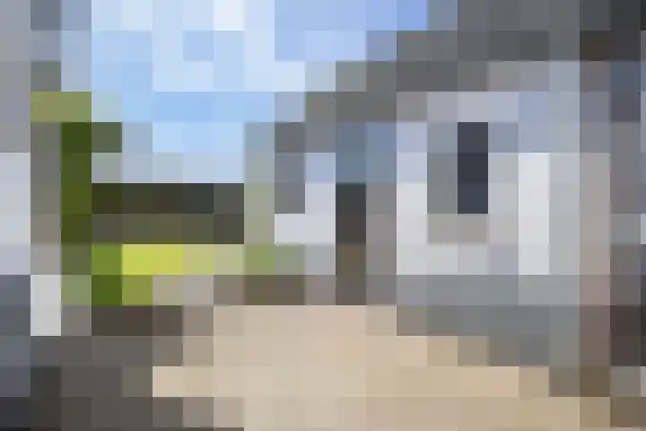 Nieuweweg 113 Veenendaal thumbnail 22