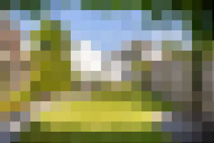 Nieuweweg 113 Veenendaal thumbnail 28